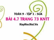 Bài 4.7 Toán 9 tập 1 SGK Kết nối tri thức